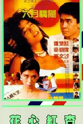 久久国产精品72免费观看
