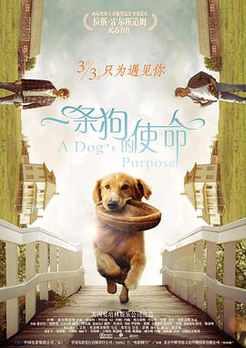 成人欧美一区二区三区黑人免费