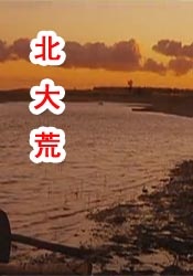 相岛奈央