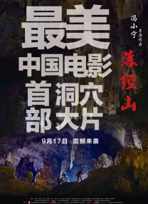 一本岛一区在线观看不卡