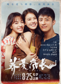 亚洲黄网在线播放高清
